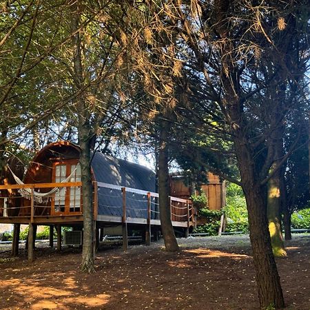 Glicinia Boutique Hotel Freamunde Εξωτερικό φωτογραφία