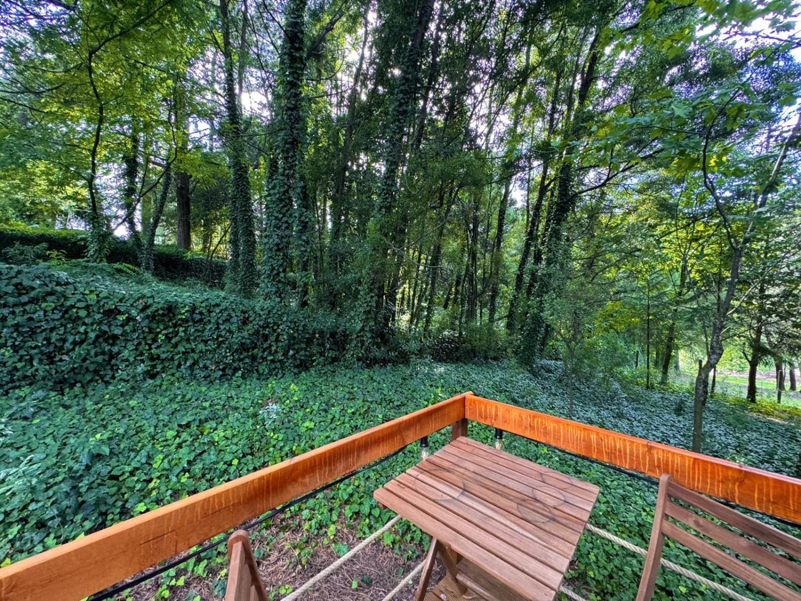 Glicinia Boutique Hotel Freamunde Εξωτερικό φωτογραφία