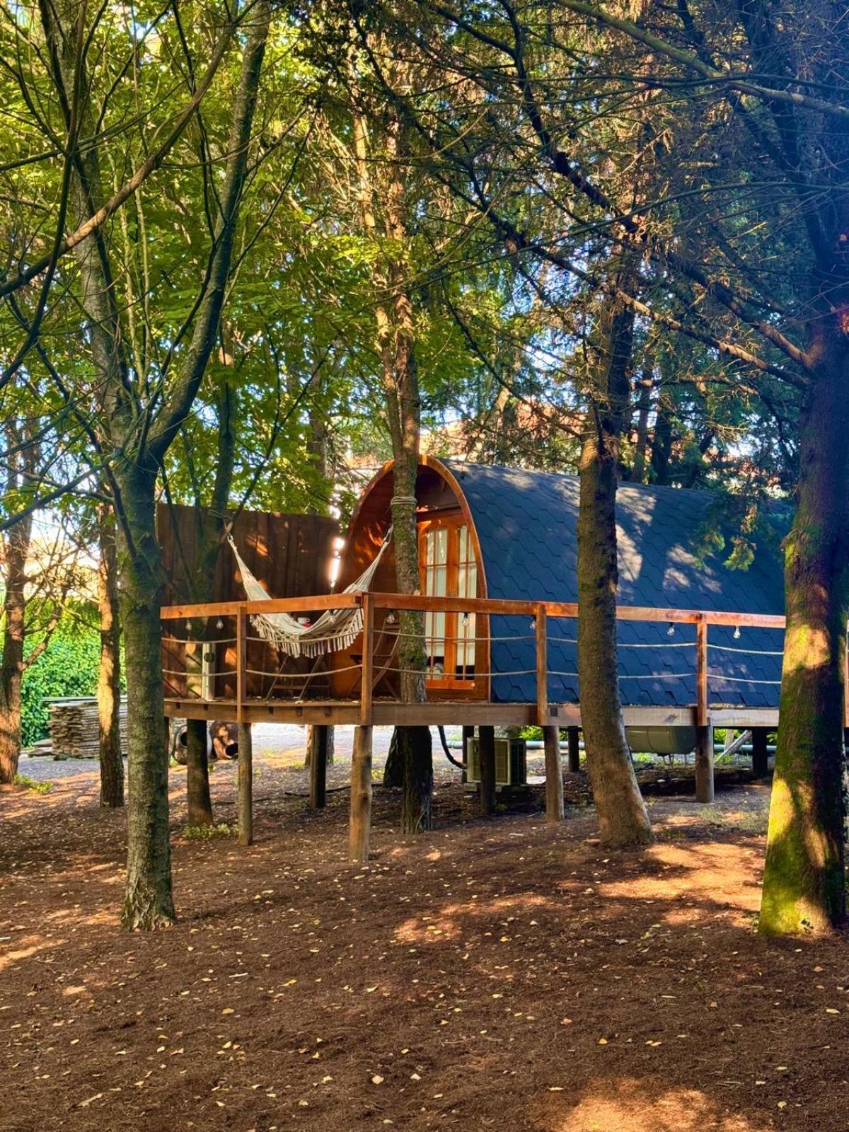 Glicinia Boutique Hotel Freamunde Εξωτερικό φωτογραφία