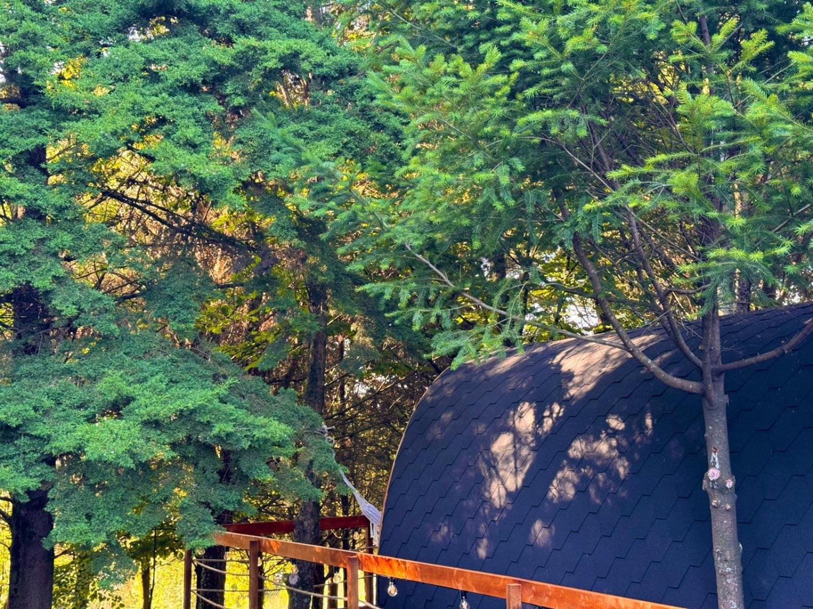 Glicinia Boutique Hotel Freamunde Εξωτερικό φωτογραφία